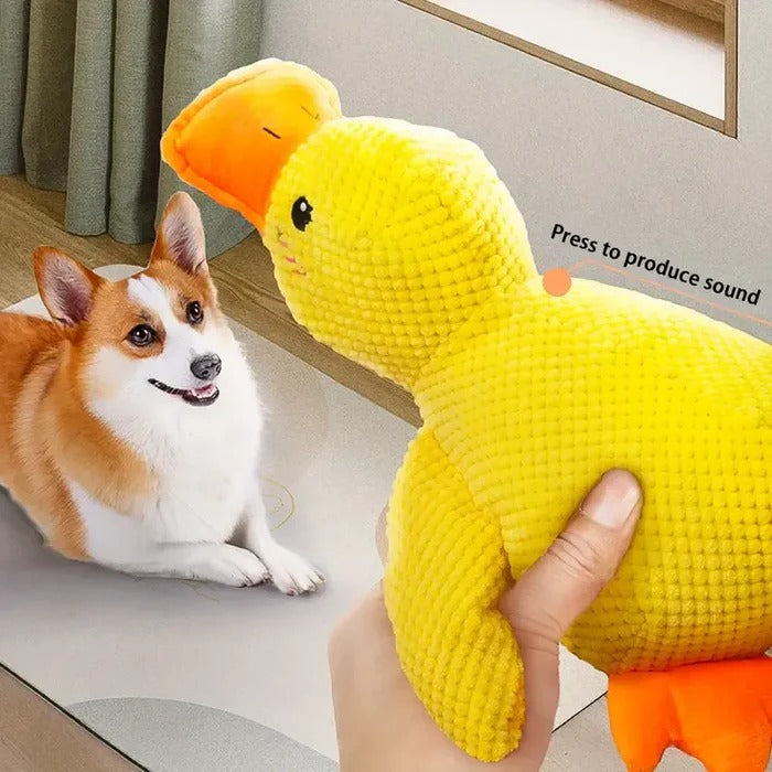 Gentle Quacker Buddy Plush Toy for Dogs
