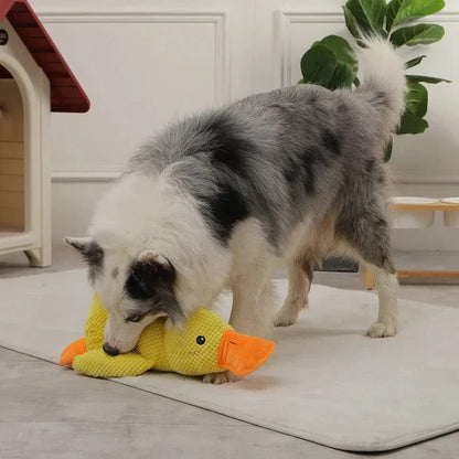 Gentle Quacker Buddy Plush Toy for Dogs