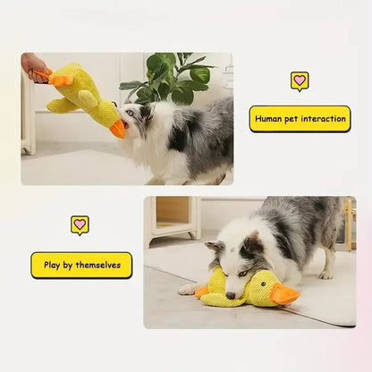 Gentle Quacker Buddy Plush Toy for Dogs