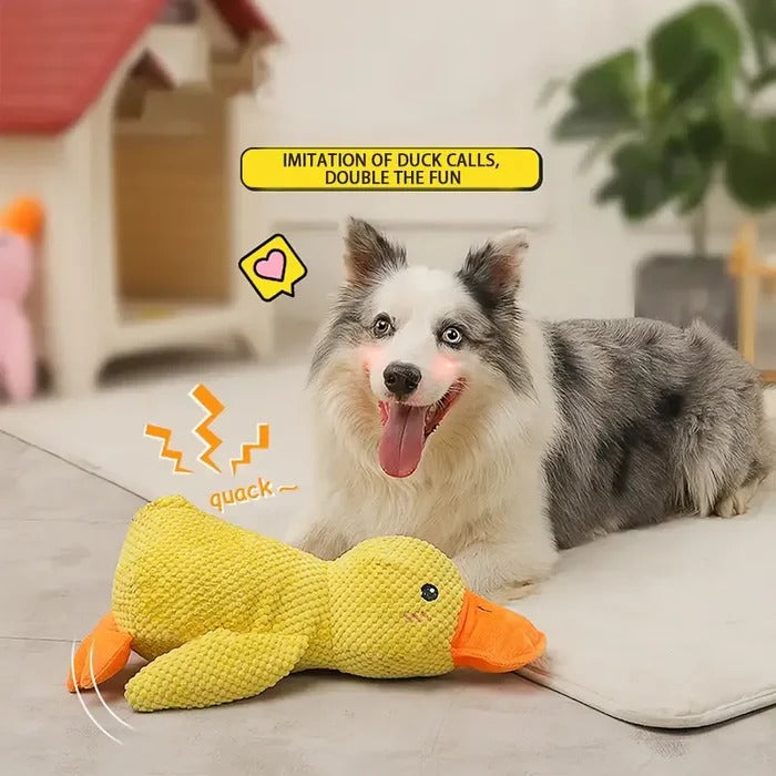 Gentle Quacker Buddy Plush Toy for Dogs