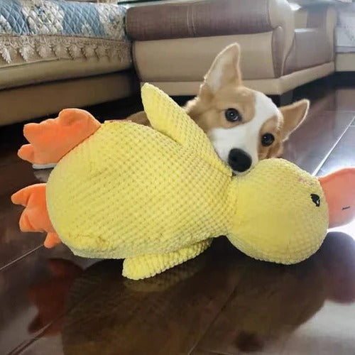 Gentle Quacker Buddy Plush Toy for Dogs