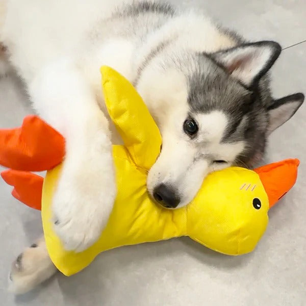 Gentle Quacker Buddy Plush Toy for Dogs