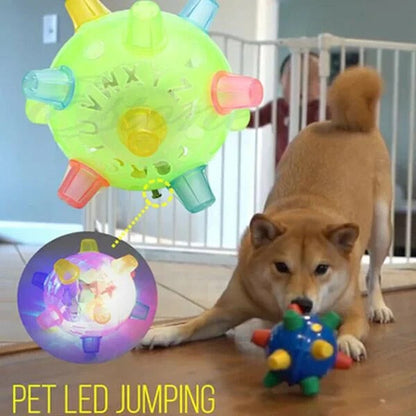 Vibrant Bouncing Ball for Dogs - Interactive Light-Up Plaything