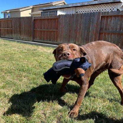 Rugged Companion: The Ultimate Chew-Resistant Dog Toy