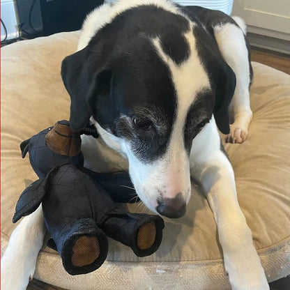 Rugged Companion: The Ultimate Chew-Resistant Dog Toy