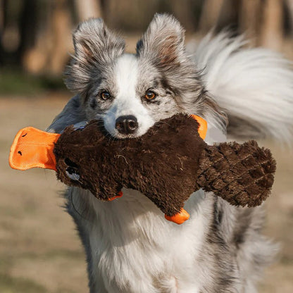 Rugged Companion: The Ultimate Chew-Resistant Dog Toy