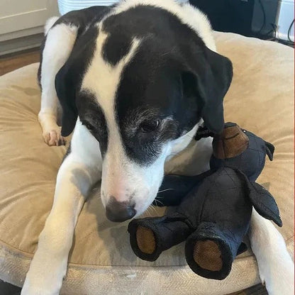 Cuddly Bear Dog Chew Toy with Fun Squeaker