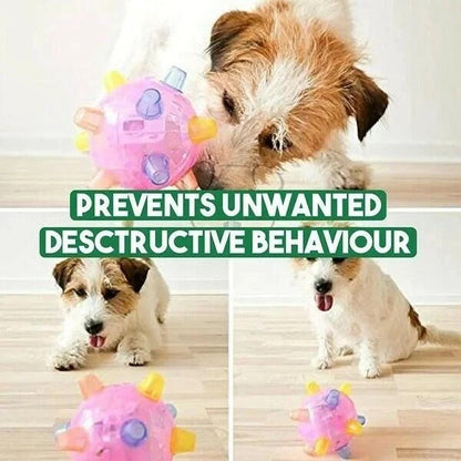 Vibrant Bouncing Ball for Dogs - Interactive Light-Up Plaything