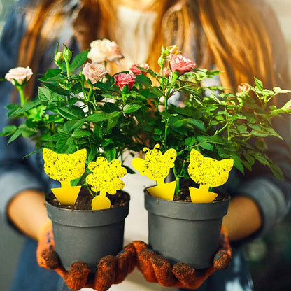 Effective Insect Catching Sticky Traps for Plants