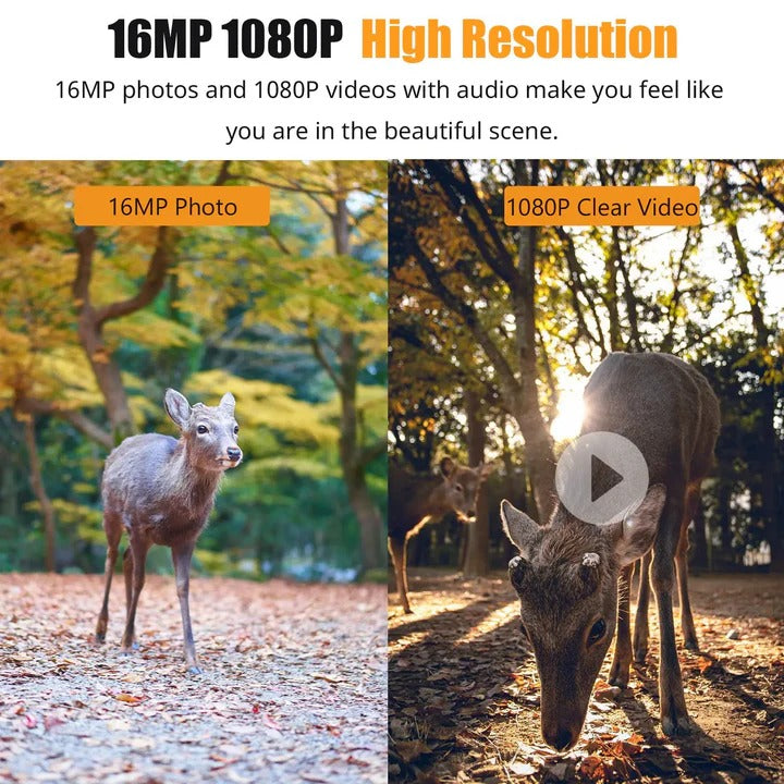 Ultimate Outdoor Motion Camera with 1080P Night Vision