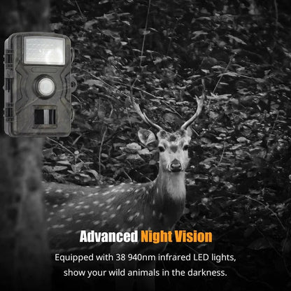 Ultimate Outdoor Motion Camera with 1080P Night Vision