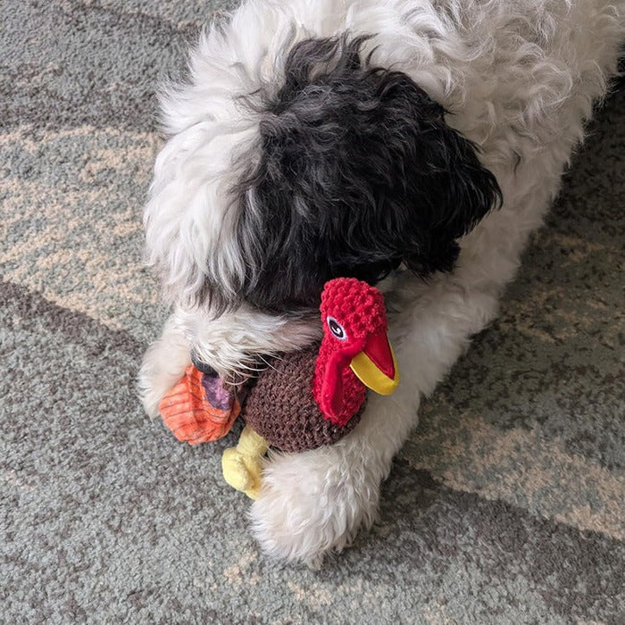Rugged Companion: The Ultimate Chew-Resistant Dog Toy