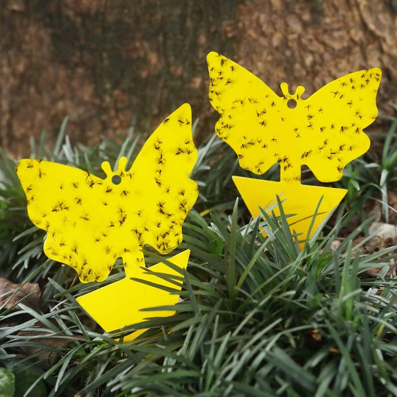 Effective Insect Catching Sticky Traps for Plants