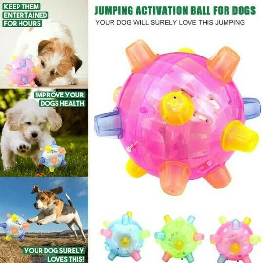Vibrant Bouncing Ball for Dogs - Interactive Light-Up Plaything