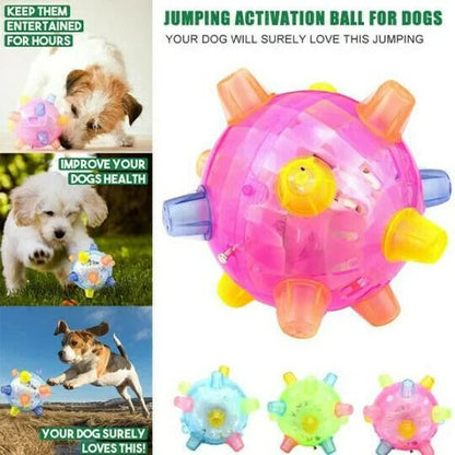 Vibrant Bouncing Ball for Dogs - Interactive Light-Up Plaything