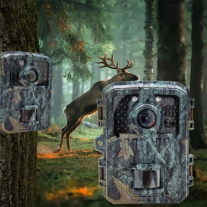 All-Weather Wildlife Camera with 1080P HD and Quick Trigger