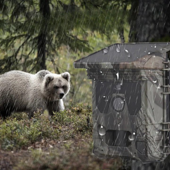 All-Weather Wildlife Surveillance Camera with Solar Power