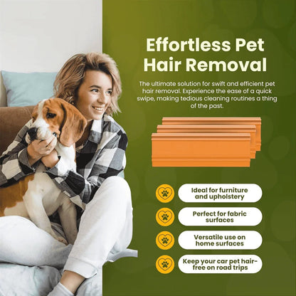 EverClean Pet Fur Remover Brush for Home & Vehicle Use