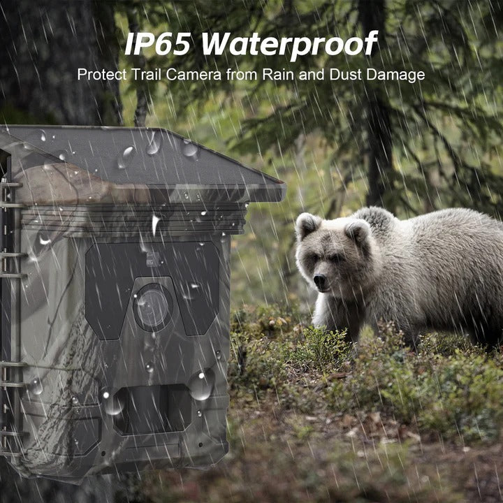 All-Weather Wildlife Surveillance Camera with Solar Power