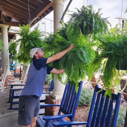 Realistic Outdoor Faux Fern for Vibrant Displays