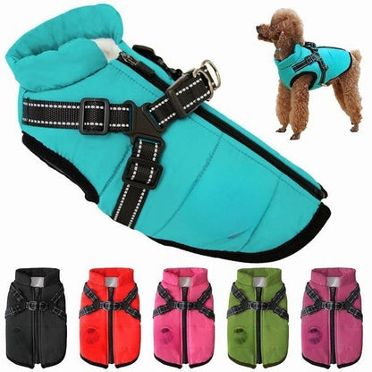 Weatherproof Canine Coat with Built-In Leash Connector