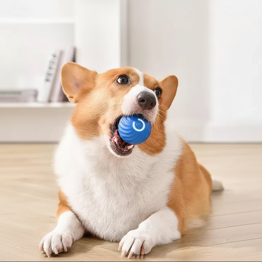 Smart Interactive Rolling Sphere with Dynamic Motion