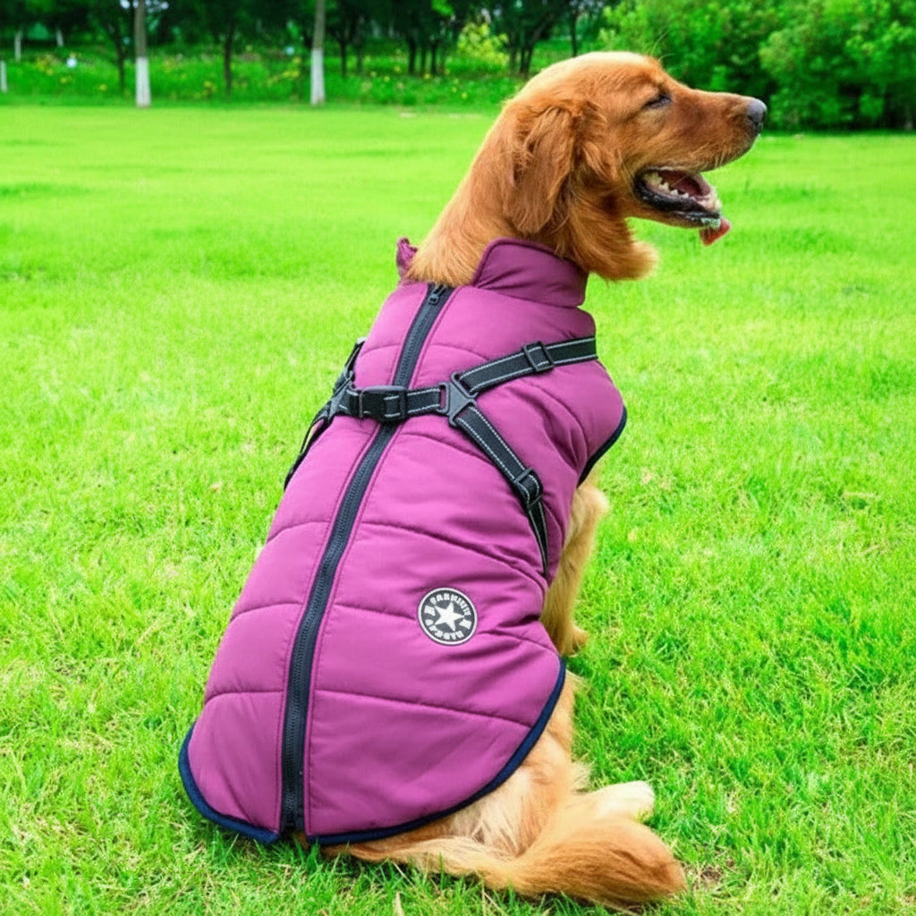 All-Weather Canine Jacket with Cozy Fleece Lining and Built-In Harness
