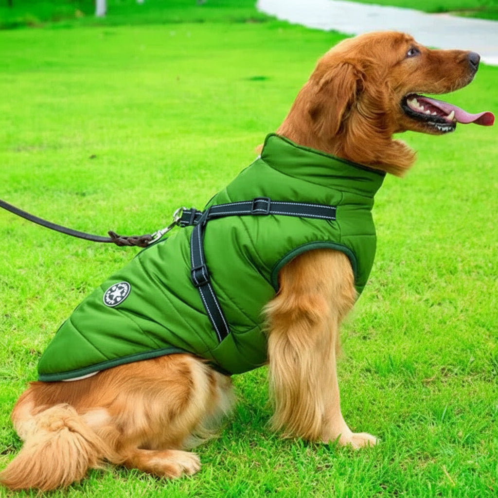 All-Weather Canine Jacket with Cozy Fleece Lining and Built-In Harness