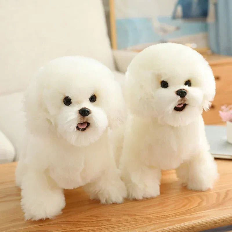 Cuddly Companion Plush for Infants and Toddlers