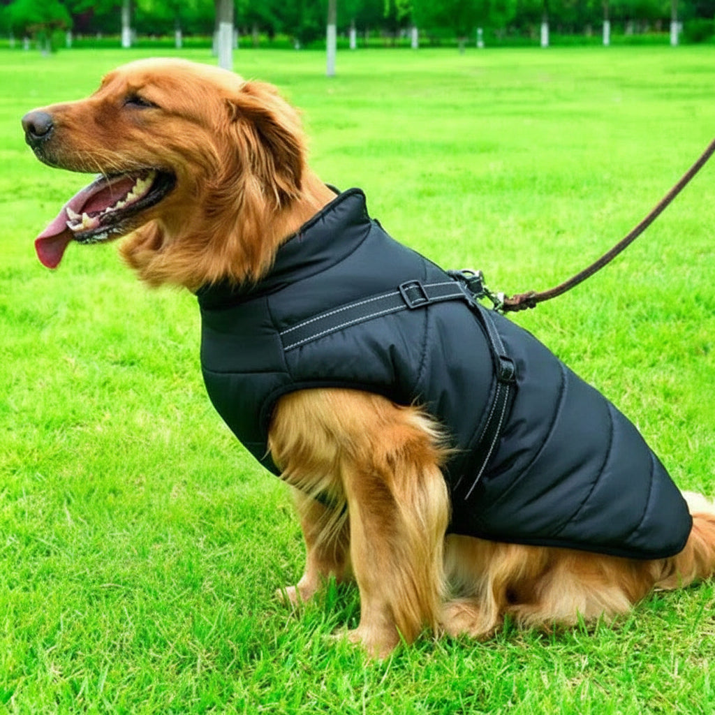 All-Weather Canine Jacket with Cozy Fleece Lining and Built-In Harness