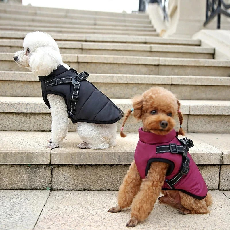 Weatherproof Canine Coat with Built-In Leash Connector