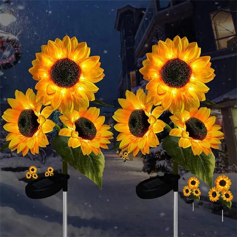 Brighten Your Garden with Solar-Powered Daisy Stake Lights