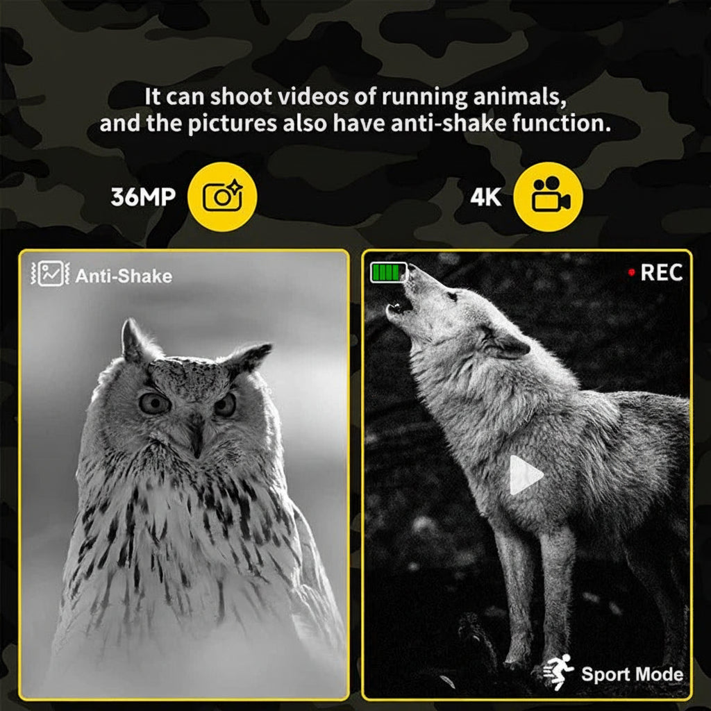 Enhanced Night Vision Binoculars for Wildlife Observation