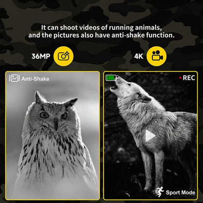 Enhanced Night Vision Binoculars for Wildlife Observation