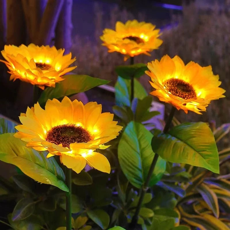 Brighten Your Garden with Solar-Powered Daisy Stake Lights