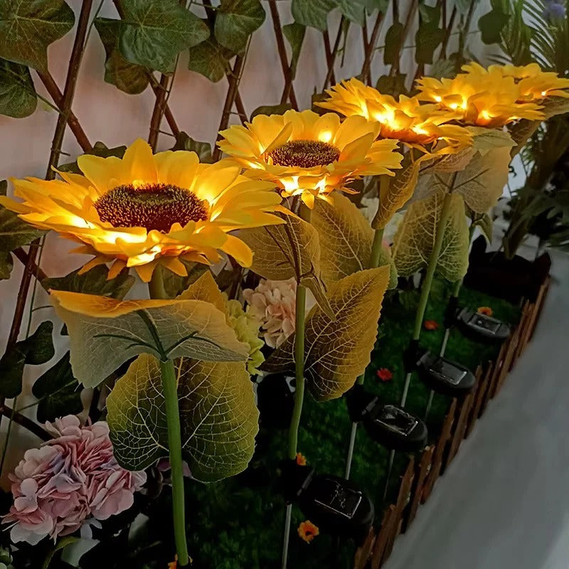 Brighten Your Garden with Solar-Powered Daisy Stake Lights