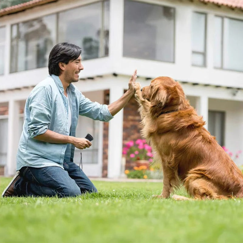 Ultrasonic Bark Control Device for Peaceful Living