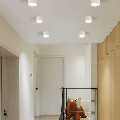 Adjustable LED Cylinder Light for Modern Spaces