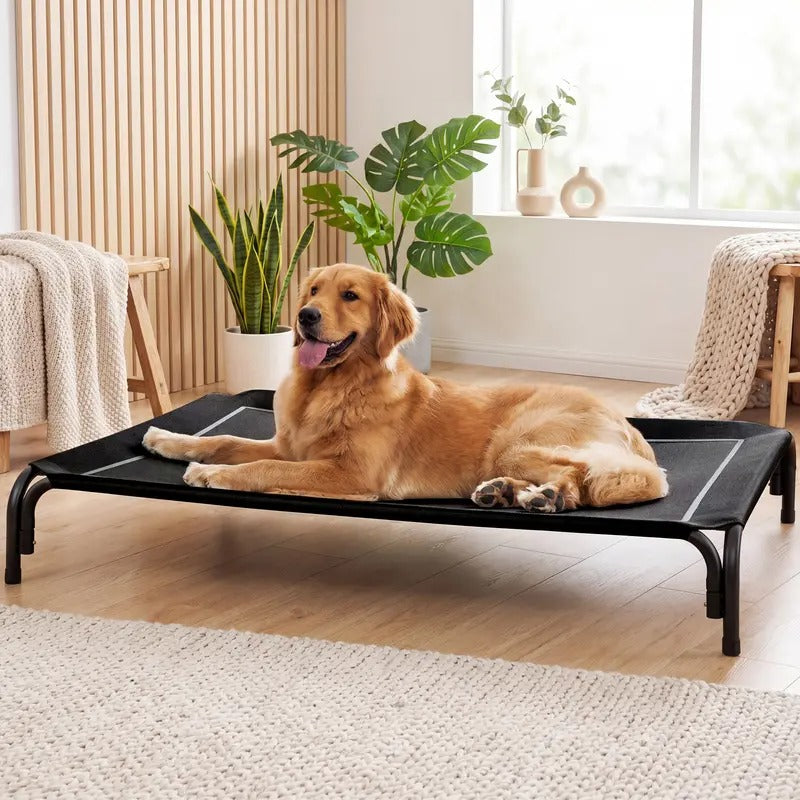 Premium Elevated Dog Bed for Enhanced Comfort and Ventilation