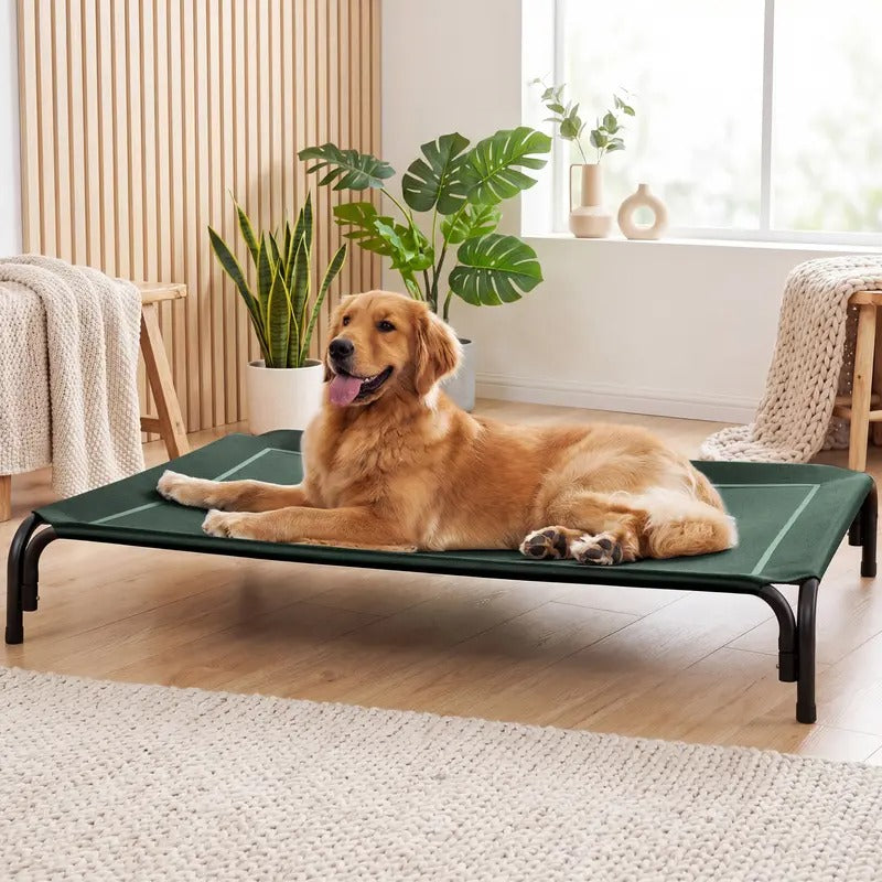 Premium Elevated Dog Bed for Enhanced Comfort and Ventilation