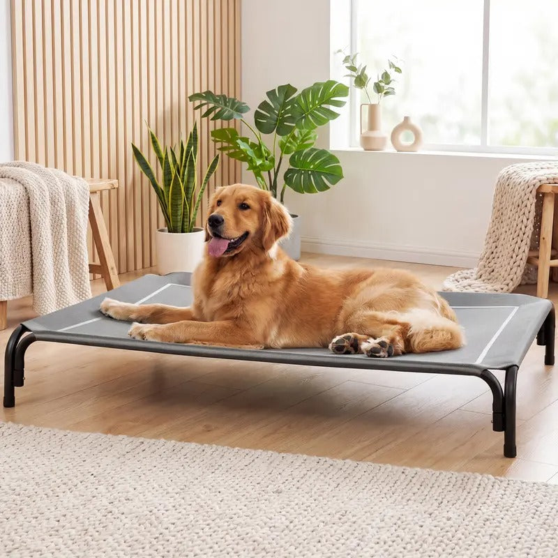 Premium Elevated Dog Bed for Enhanced Comfort and Ventilation