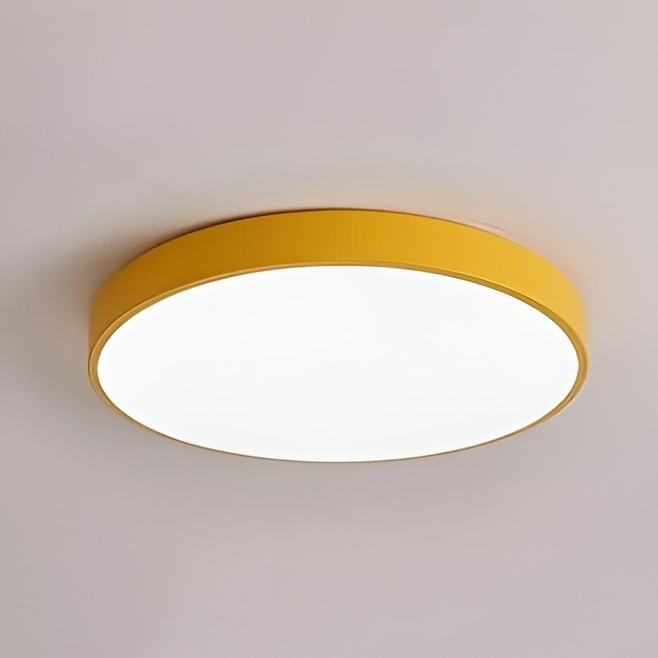 Sleek LED Ceiling Fixture for Any Room in Your Home