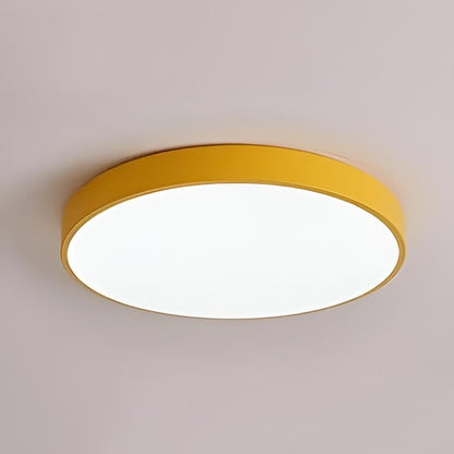 Sleek LED Ceiling Fixture for Any Room in Your Home
