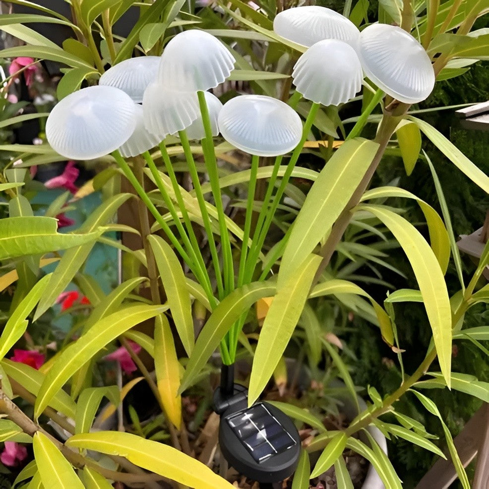 Enchanting Solar-Powered Color-Changing Garden Lights