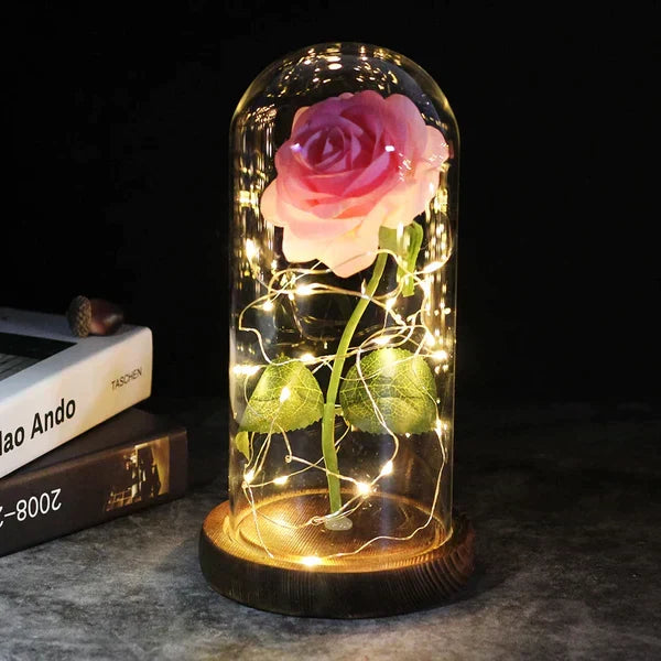 Everlasting Rose in Illuminated Glass Dome Display