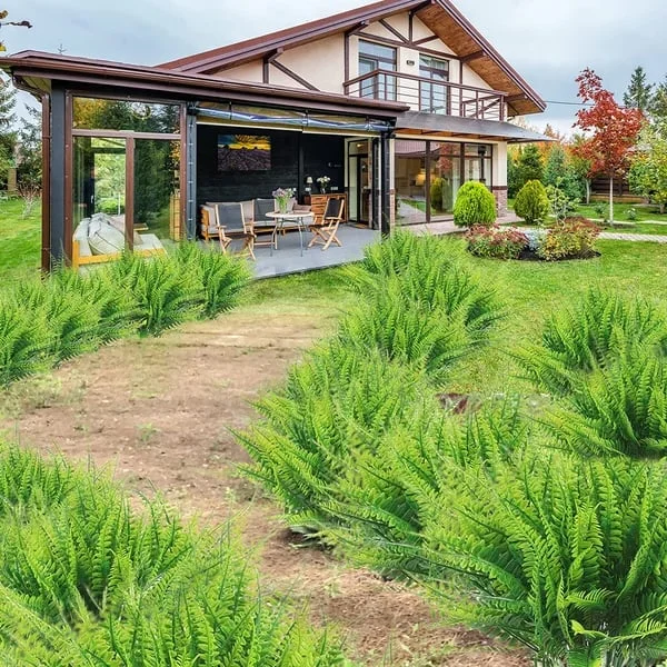 Lifelike Fern Collection with Weather-Resistant Design, 18 Pieces