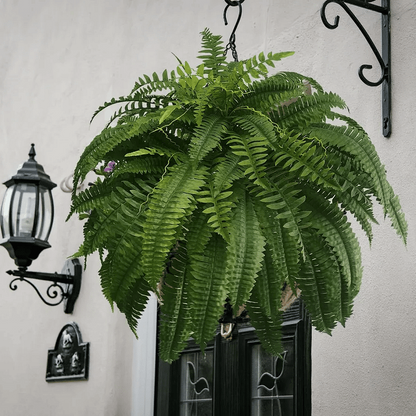 Lifelike Fern Collection with Weather-Resistant Design, 18 Pieces