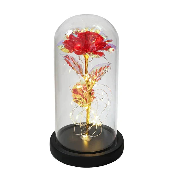Everlasting Rose in Illuminated Glass Dome Display