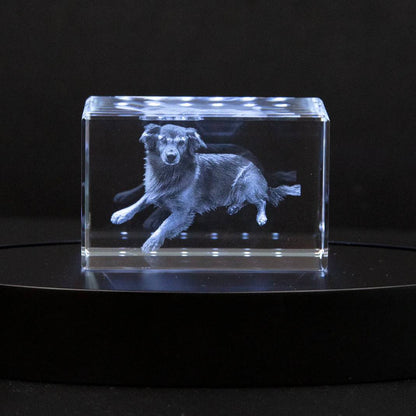 Customizable Crystal Pet Memorial Keepsake