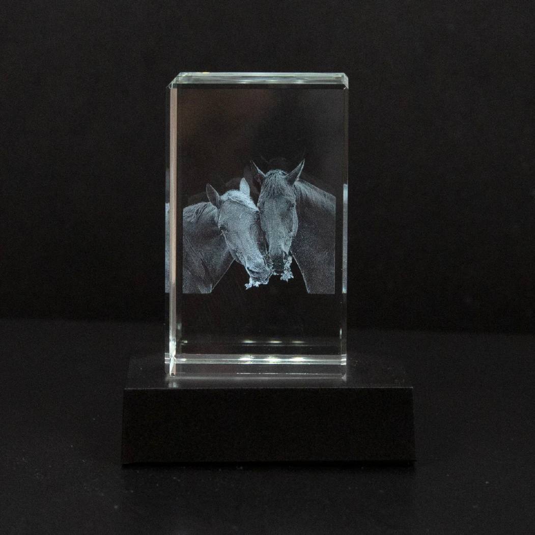 Customizable Crystal Pet Memorial Keepsake